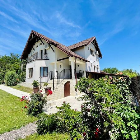 Hermesvilla Băile Felix Exteriör bild