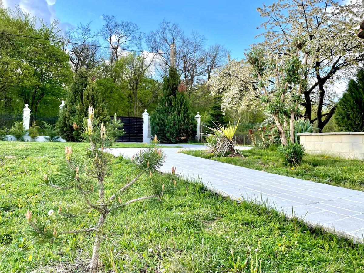 Hermesvilla Băile Felix Exteriör bild